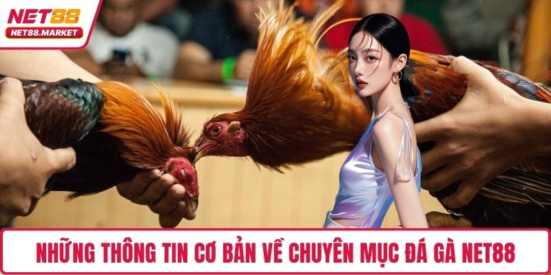 Những thông tin cơ bản về chuyên mục đá gà NET88